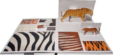 out-of-sight-interior