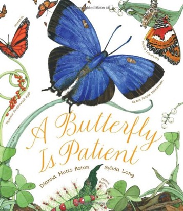 butterfly is patient