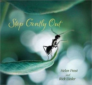 step gently out step gently out