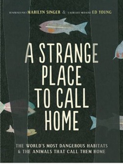strange place to call home strange place to call home