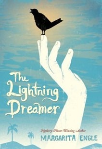 lightning dreamer