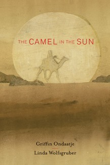 camel in the sun