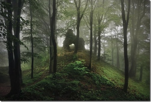 e03f073378616d857a939c5d4de2d715