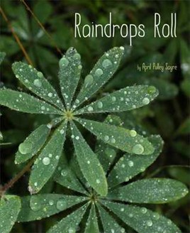 raindrops roll