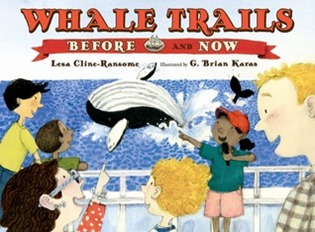 whale trails