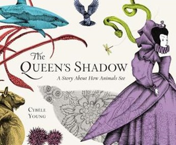 queens shadow