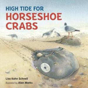 High Tide for Horseshoe Crabs by Lisa Kahn Schnell