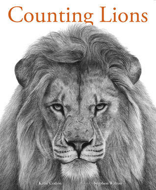 Counting Lions by Katie Cotton