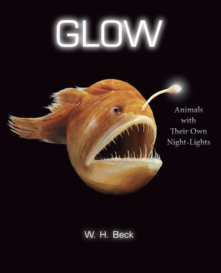 Glow by WH Beck