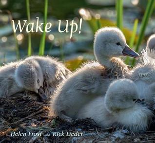 Wake Up by Helen Frost