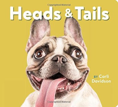 Heads and Tails by Carli Davidson
