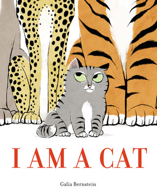 I Am a Cat by Galia Bernstein