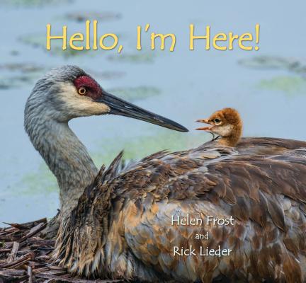 Hello, I'm Here by Helen Frost