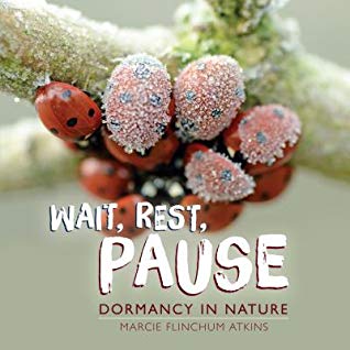 Wait, Rest, Pause Dormancy in Nature by Marcie Flinchum Atkins