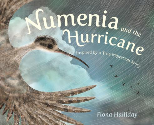 Numenia and the Hurricane by Fiona Halliday