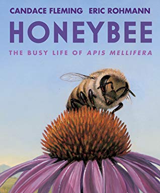 Honeybee The Busy Life of Apis Mellifera by Candace Fleming
