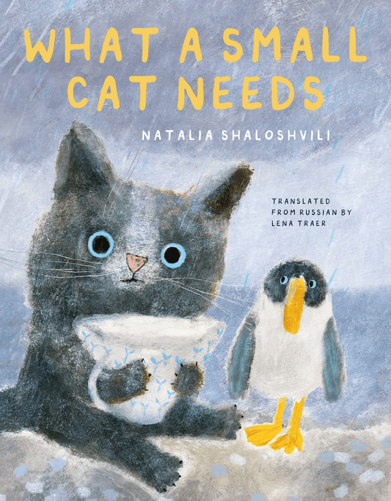 Book cover for What a Small Cat Needs by Natalia Shaloshvili. A grey cat looks out from the book holding a cup of milk. A bird stands next to him. Rain and clouds fill the background.