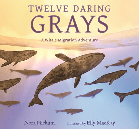 Book cover for Twelve Daring Grays: A Whale Migration Adventure by Nora Nickum, illustrated by Elly MacKay. Features a pod of whales near the surface of the water.