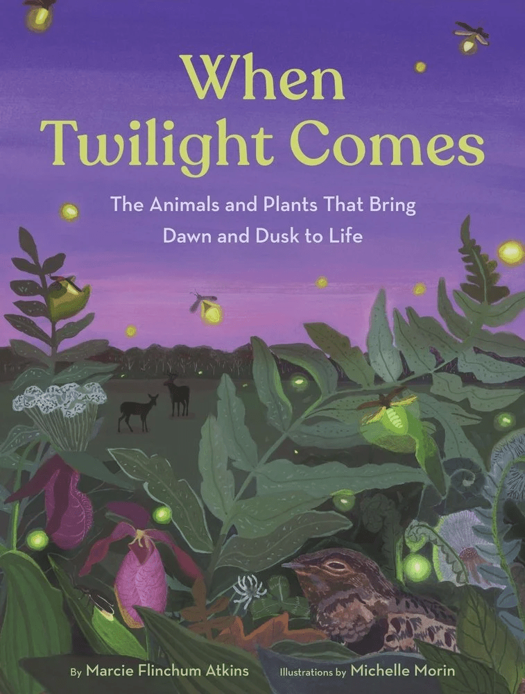 Cover image for When Twilight Comes: The Animals and Plants That Bring Dawn and Dusk to Life by Marcie Flinchum Atkins, illustrated by Michelle Morin, featuring fireflies against a purple sky with deer in a field, lady slippers, a bird and foliage.